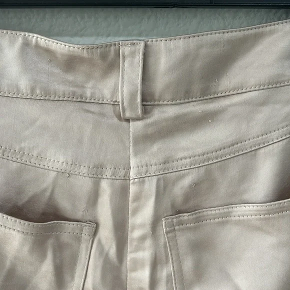 Generation Love Nate Satin Cargo Pants - Champagne - Picture 10 of 12